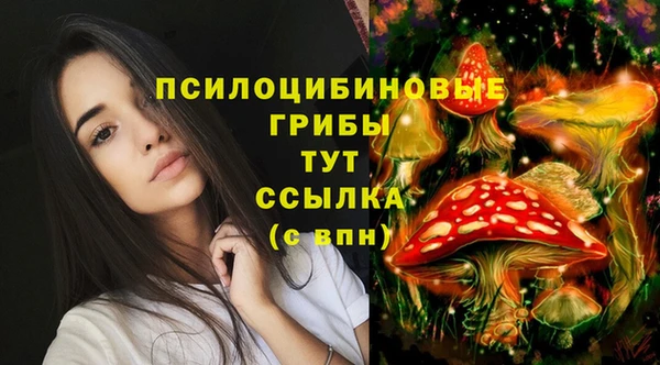 2c-b Алексеевка