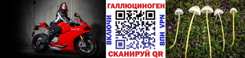 мега ONION  Егорьевск  Псилоцибиновые грибы мухоморы 