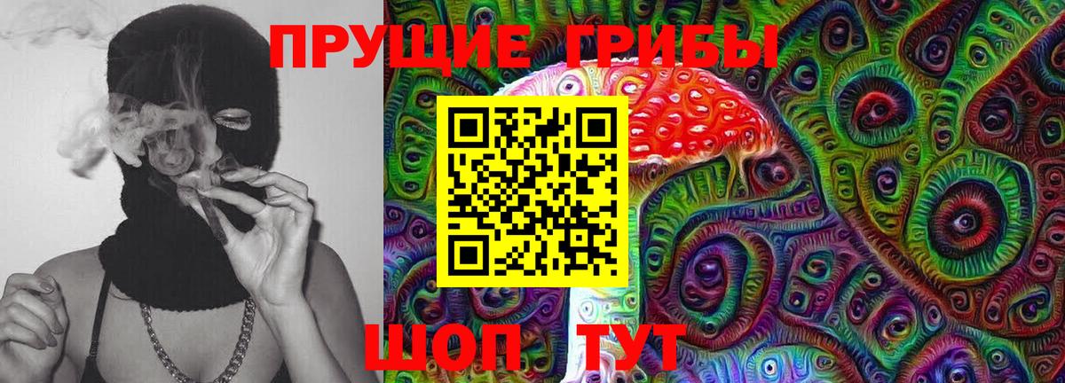 Псилоцибиновые грибы ЛСД  Псилоцибиновые грибы GOLDEN TEACHER  Вход с VPN  Егорьевск 
